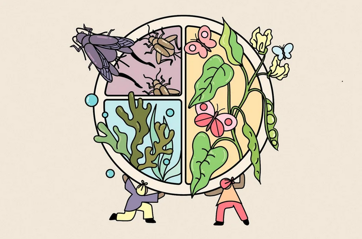 Illustration of a stylized dinner plate, split into sections, showing plants, aquatic plants, and various kinds of insects. The plate is being held up by two cartoon-style people.